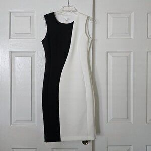 Calvin Klein Sleeveless Colorblock Sheath Dress